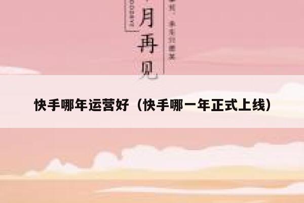 快手哪年运营好（快手哪一年正式上线）
