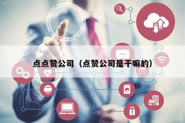 点点赞公司（点赞公司是干嘛的）