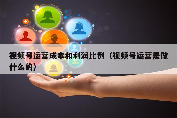 视频号运营成本和利润比例（视频号运营是做什么的）