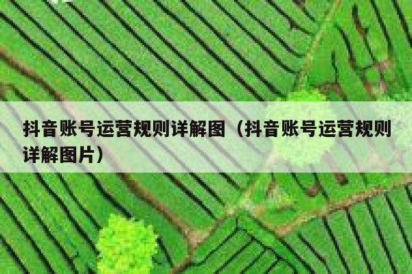 抖音账号运营规则详解图（抖音账号运营规则详解图片）
