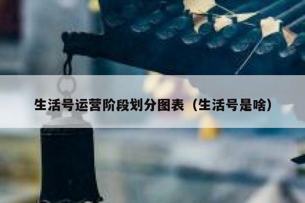 生活号运营阶段划分图表（生活号是啥）