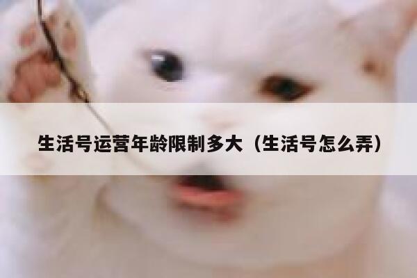 生活号运营年龄限制多大（生活号怎么弄）