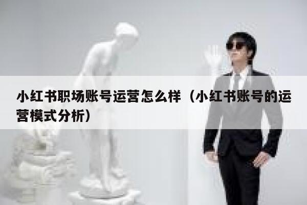 小红书职场账号运营怎么样（小红书账号的运营模式分析）