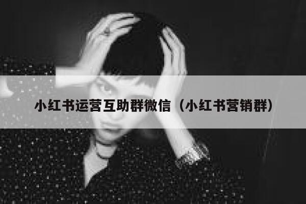 小红书运营互助群微信（小红书营销群）