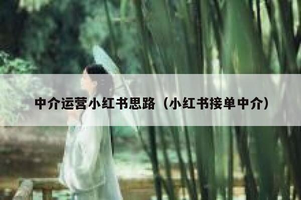 中介运营小红书思路（小红书接单中介）
