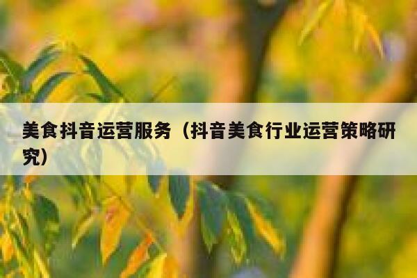 美食抖音运营服务（抖音美食行业运营策略研究）