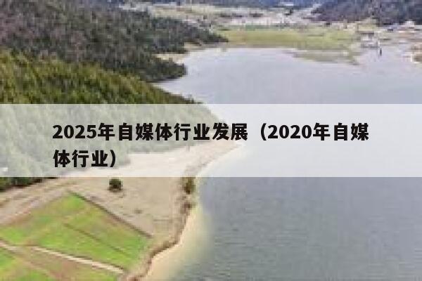 2025年自媒体行业发展（2020年自媒体行业）