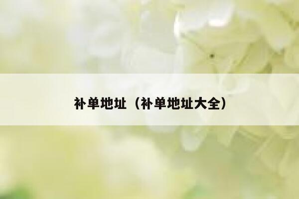 补单地址（补单地址大全）
