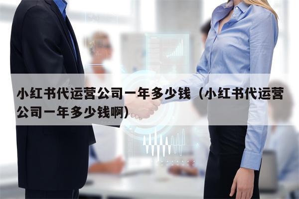 小红书代运营公司一年多少钱（小红书代运营公司一年多少钱啊）