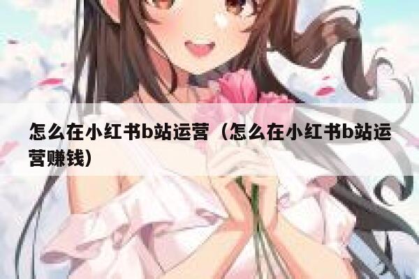 怎么在小红书b站运营（怎么在小红书b站运营赚钱）
