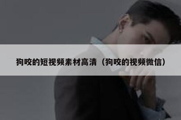 狗咬的短视频素材高清（狗咬的视频微信）