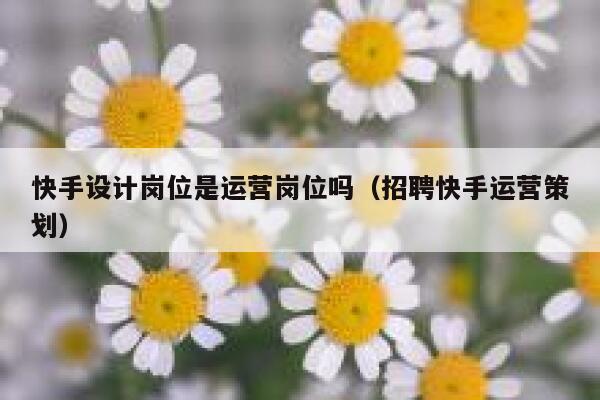 快手设计岗位是运营岗位吗（招聘快手运营策划）