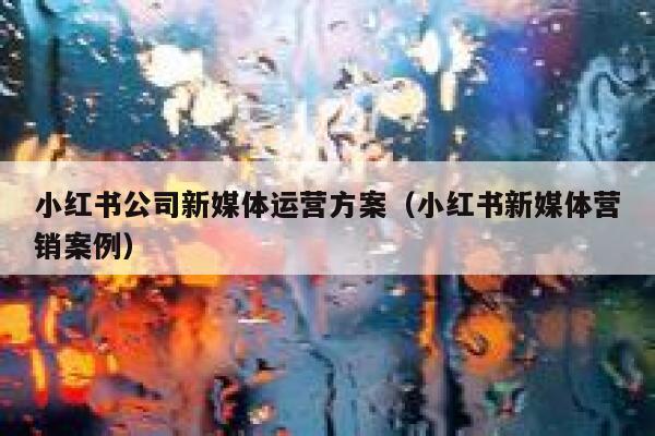 小红书公司新媒体运营方案（小红书新媒体营销案例）