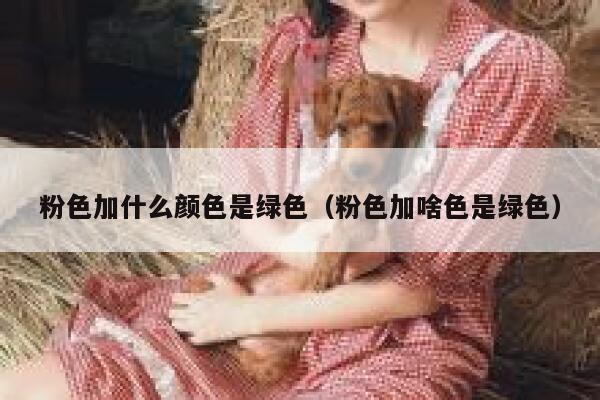 粉色加什么颜色是绿色（粉色加啥色是绿色）