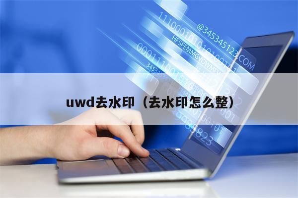 uwd去水印（去水印怎么整）