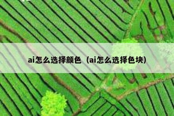 ai怎么选择颜色（ai怎么选择色块）