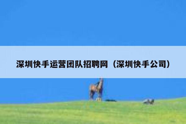 深圳快手运营团队招聘网（深圳快手公司）