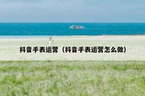 抖音手表运营（抖音手表运营怎么做）