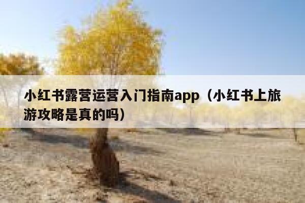 小红书露营运营入门指南app（小红书上旅游攻略是真的吗）