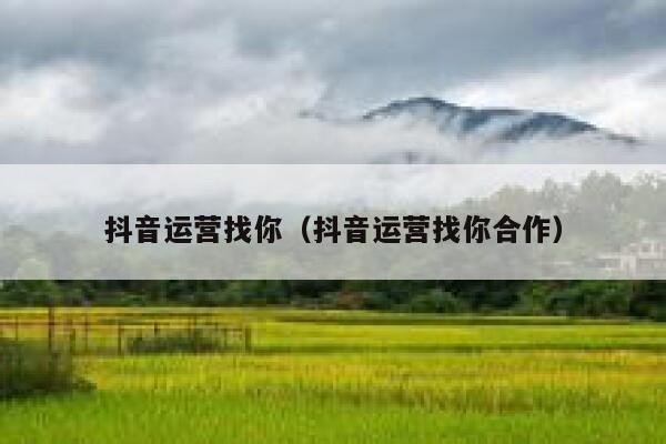 抖音运营找你（抖音运营找你合作）