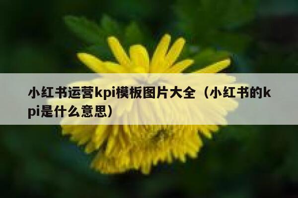 小红书运营kpi模板图片大全（小红书的kpi是什么意思）