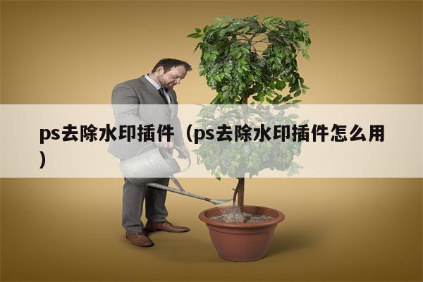 ps去除水印插件（ps去除水印插件怎么用）