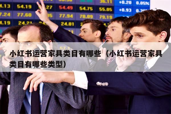 小红书运营家具类目有哪些（小红书运营家具类目有哪些类型）