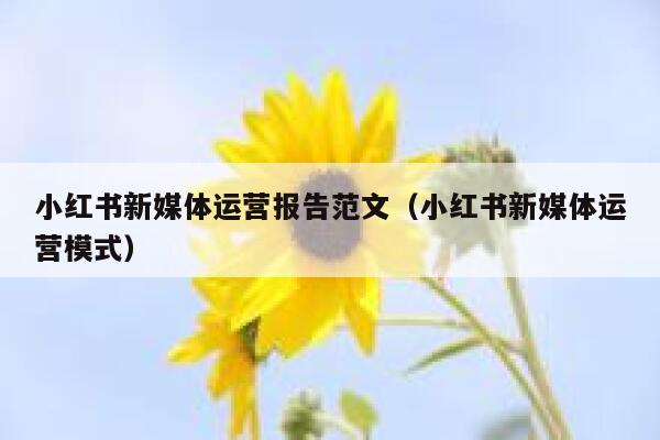 小红书新媒体运营报告范文（小红书新媒体运营模式）
