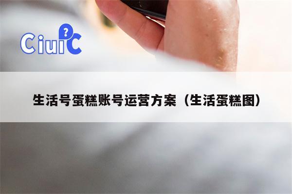 生活号蛋糕账号运营方案（生活蛋糕图）