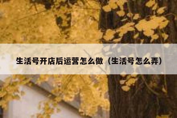 生活号开店后运营怎么做（生活号怎么弄）