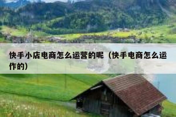 快手小店电商怎么运营的呢（快手电商怎么运作的）
