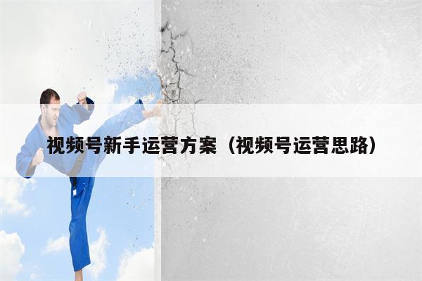 视频号新手运营方案（视频号运营思路）