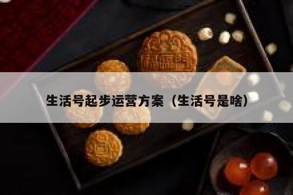生活号起步运营方案（生活号是啥）