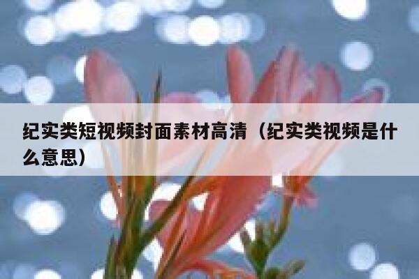 纪实类短视频封面素材高清（纪实类视频是什么意思）