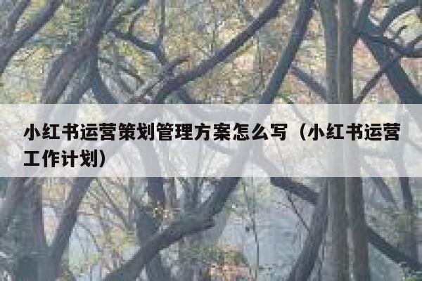 小红书运营策划管理方案怎么写（小红书运营工作计划）