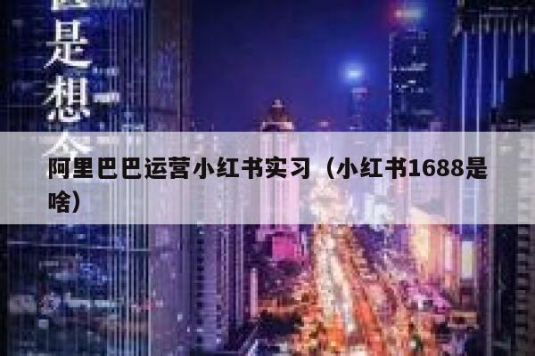 阿里巴巴运营小红书实习（小红书1688是啥）
