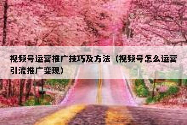 视频号运营推广技巧及方法（视频号怎么运营引流推广变现）