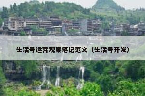 生活号运营观察笔记范文（生活号开发）