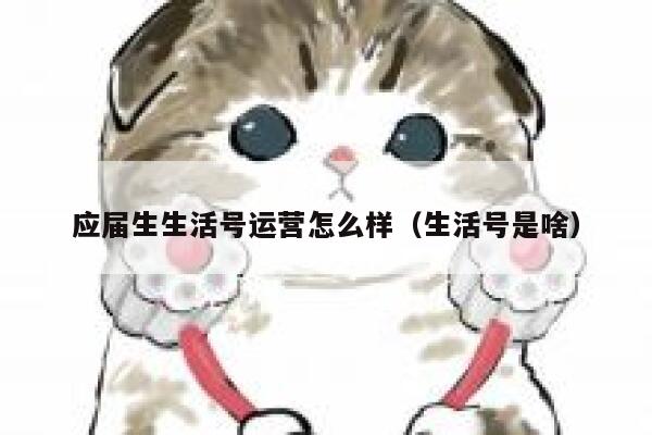 应届生生活号运营怎么样（生活号是啥）