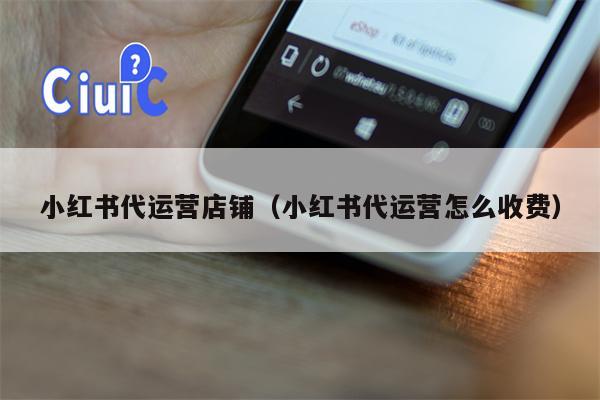 小红书代运营店铺（小红书代运营怎么收费）