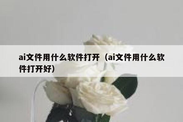 ai文件用什么软件打开（ai文件用什么软件打开好）