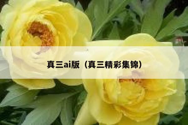 真三ai版（真三精彩集锦）