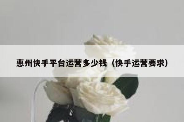 惠州快手平台运营多少钱（快手运营要求）
