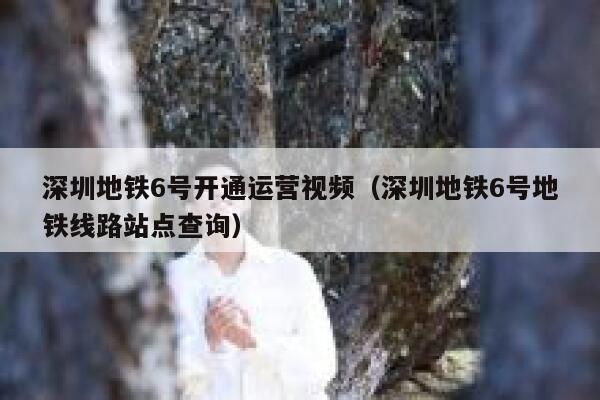深圳地铁6号开通运营视频（深圳地铁6号地铁线路站点查询）