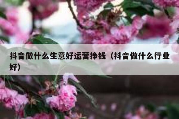 抖音做什么生意好运营挣钱（抖音做什么行业好）