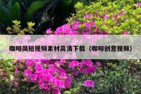 咖啡简短视频素材高清下载（咖啡创意视频）