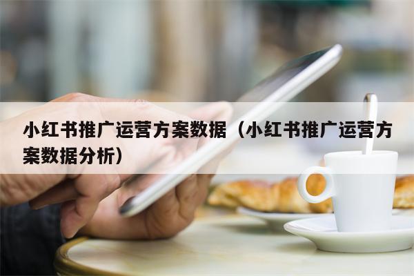 小红书推广运营方案数据（小红书推广运营方案数据分析）