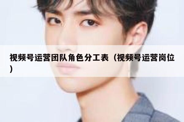 视频号运营团队角色分工表（视频号运营岗位）