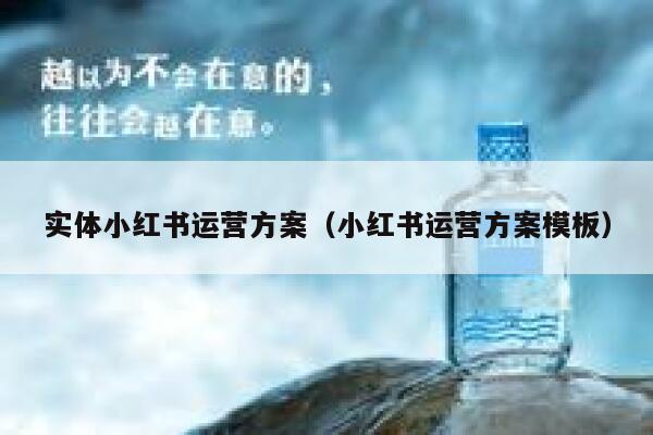 实体小红书运营方案（小红书运营方案模板）