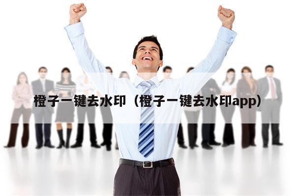 橙子一键去水印（橙子一键去水印app）